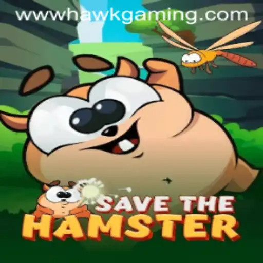 SavetheHamster: The Adventure Awaits with HawkGaming